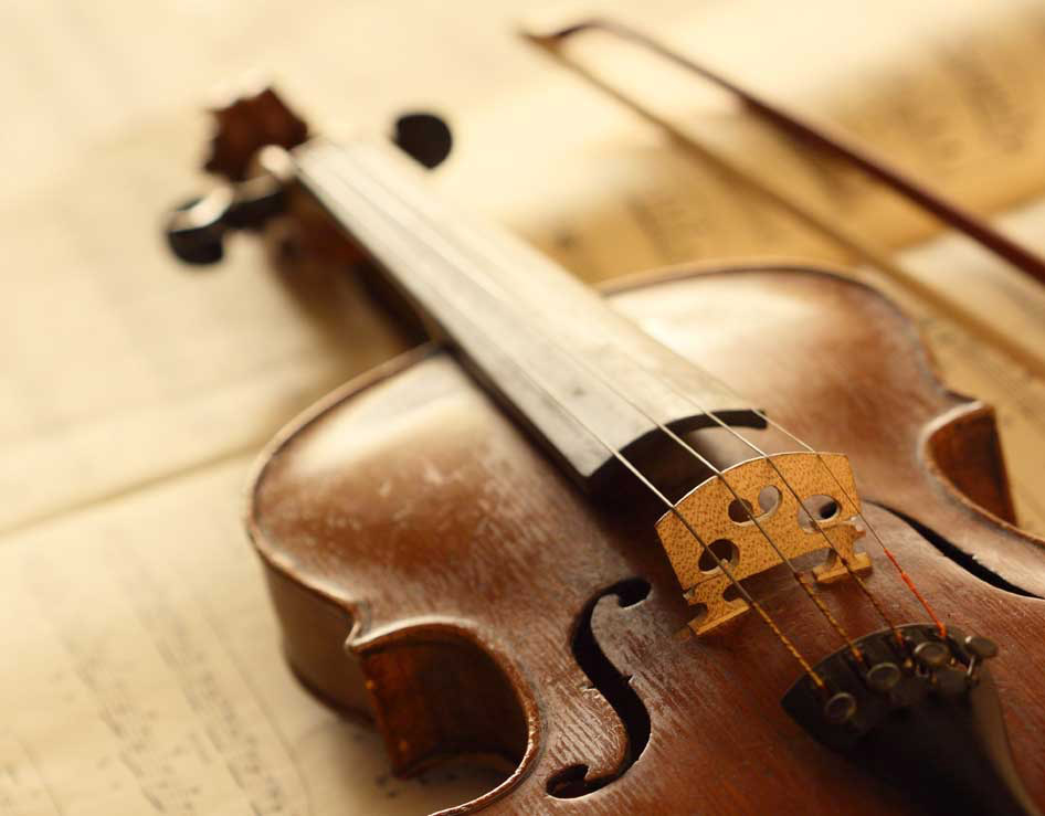 Violin